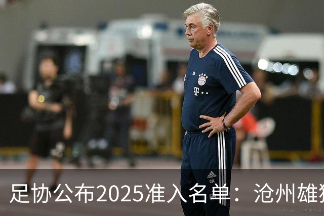 足协公布2025准入名单：沧州雄狮、广州队无缘